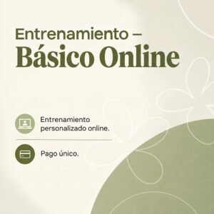 Entrenamiento - Básico Online